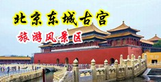 色欲综合摸胸操女神中国北京-东城古宫旅游风景区